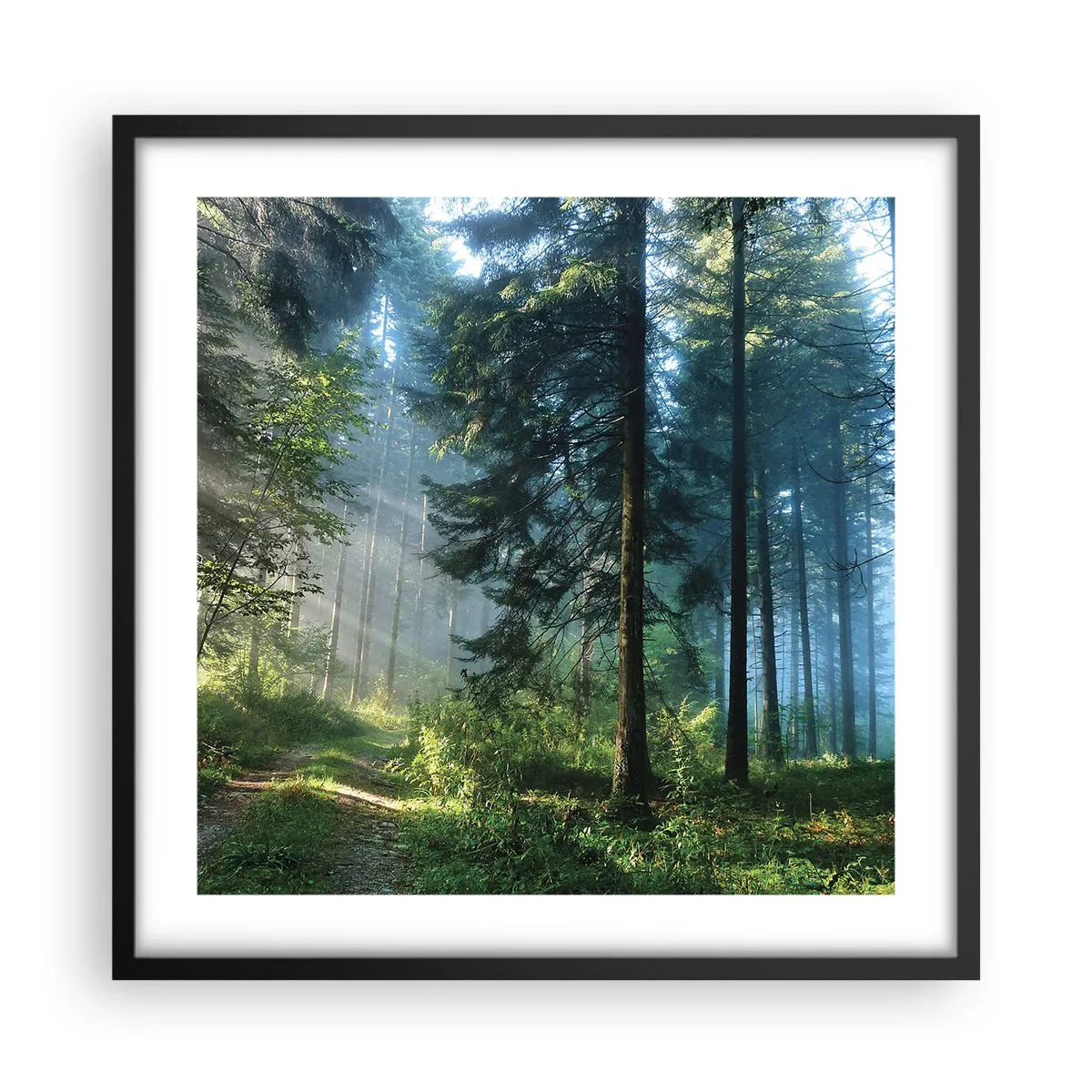 Plakát v černém rámu - Zářící za úsvitu - 50x50 cm