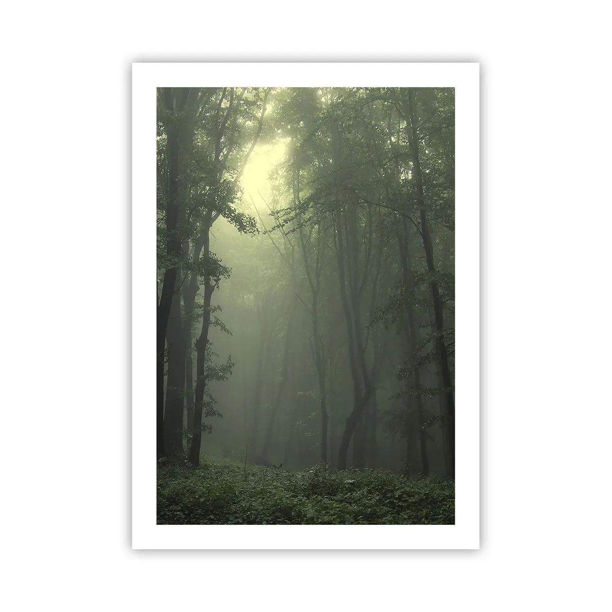 Plakát - Než se probudí - 50x70 cm