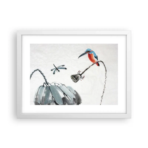 Plakát v bílém rámu - Život louky - 40x30 cm