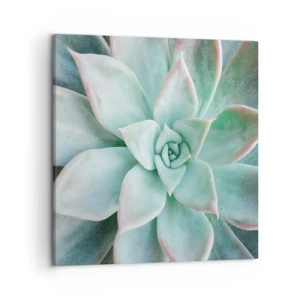 Obraz na plátně - Srdce pouště - 50x50 cm