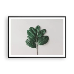 Plakát v černém rámu - Kresba samotné přírody - 100x70 cm