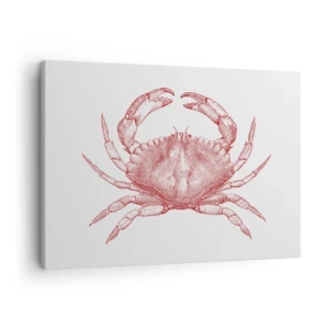 Obraz na plátně - Kresba kraba v červeném odstínu - 70x50cm - Krab nad kraby - Moderní nástěnná dekorace do obývacího pokoje a ložnice ARTTOR