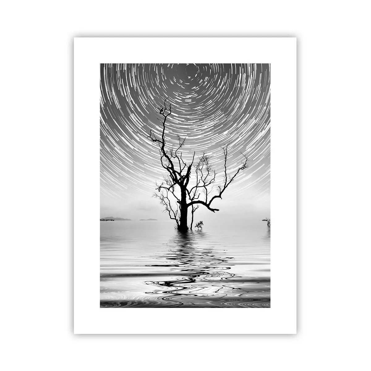 Plakát - Symfonie přírody - 30x40 cm