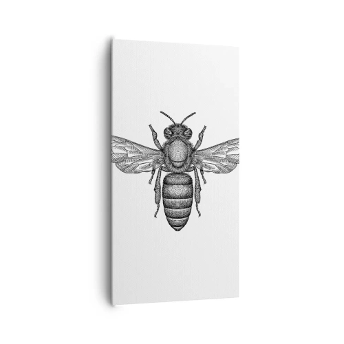 Obraz na plátně - Hmyzí portrét - 65x120 cm