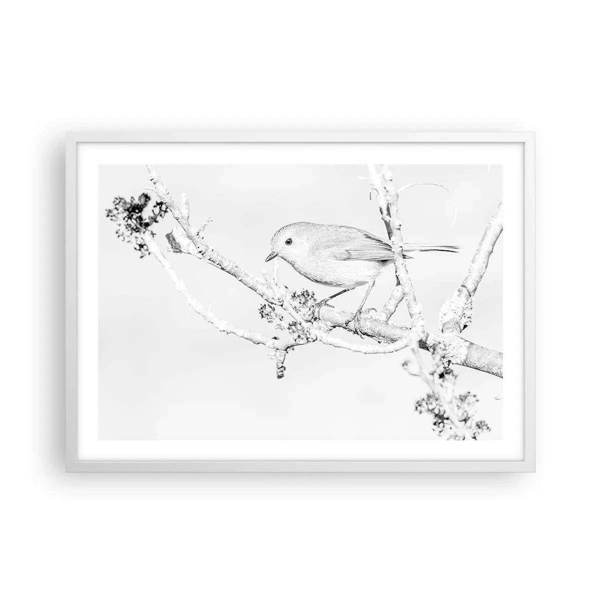 Plakát v bílém rámu - Zimní ráno - 70x50 cm