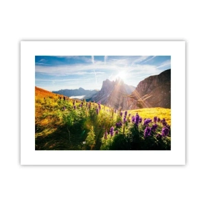 Plakát - Tajemný život bylin - 40x30 cm