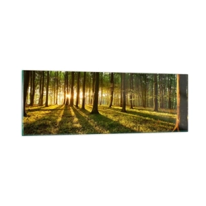 Obraz na skle - Fotografie všech jar - 90x30 cm