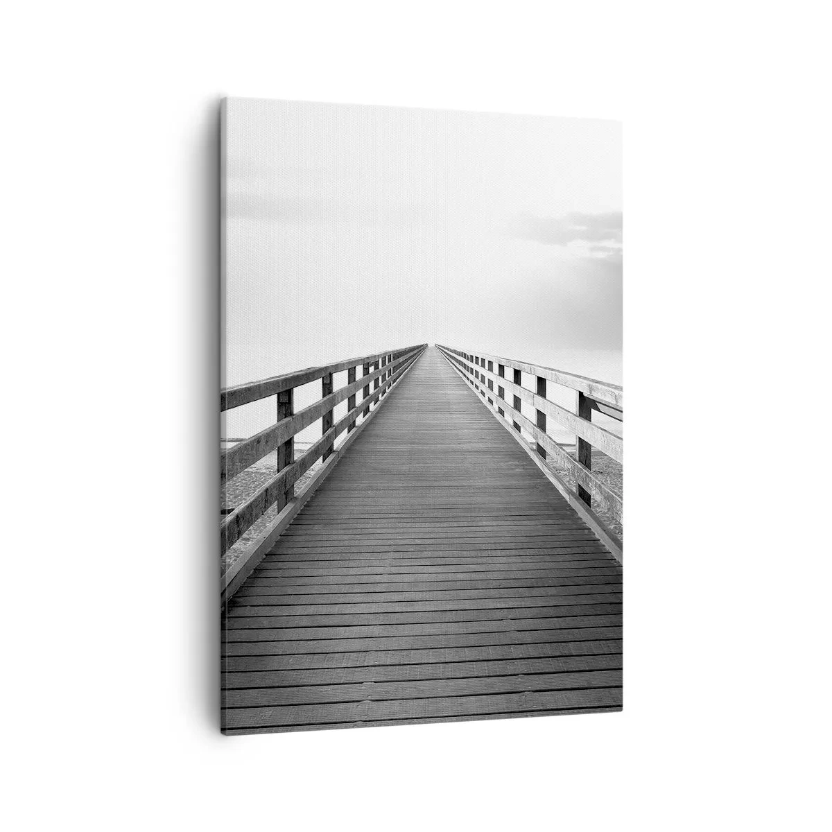 Obraz na plátně - Do dálky… - 50x70 cm
