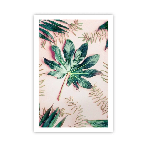 Plakát - Studie zelené na růžovém pozadí - 61x91 cm