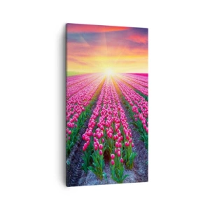 Obraz na plátně - Farma krásy - 45x80 cm