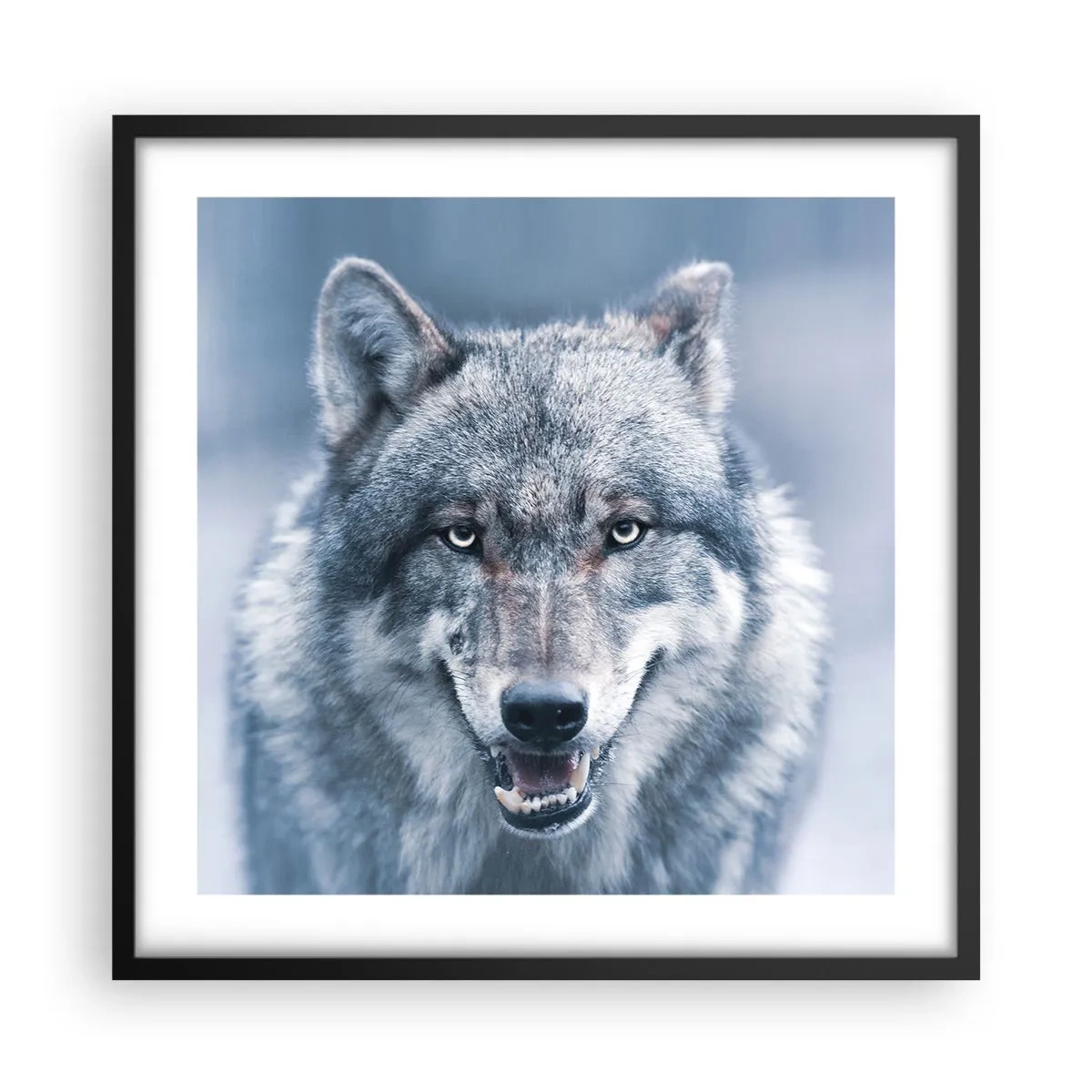 Plakát v černém rámu - Přijmete tuto výzvu? - 50x50 cm