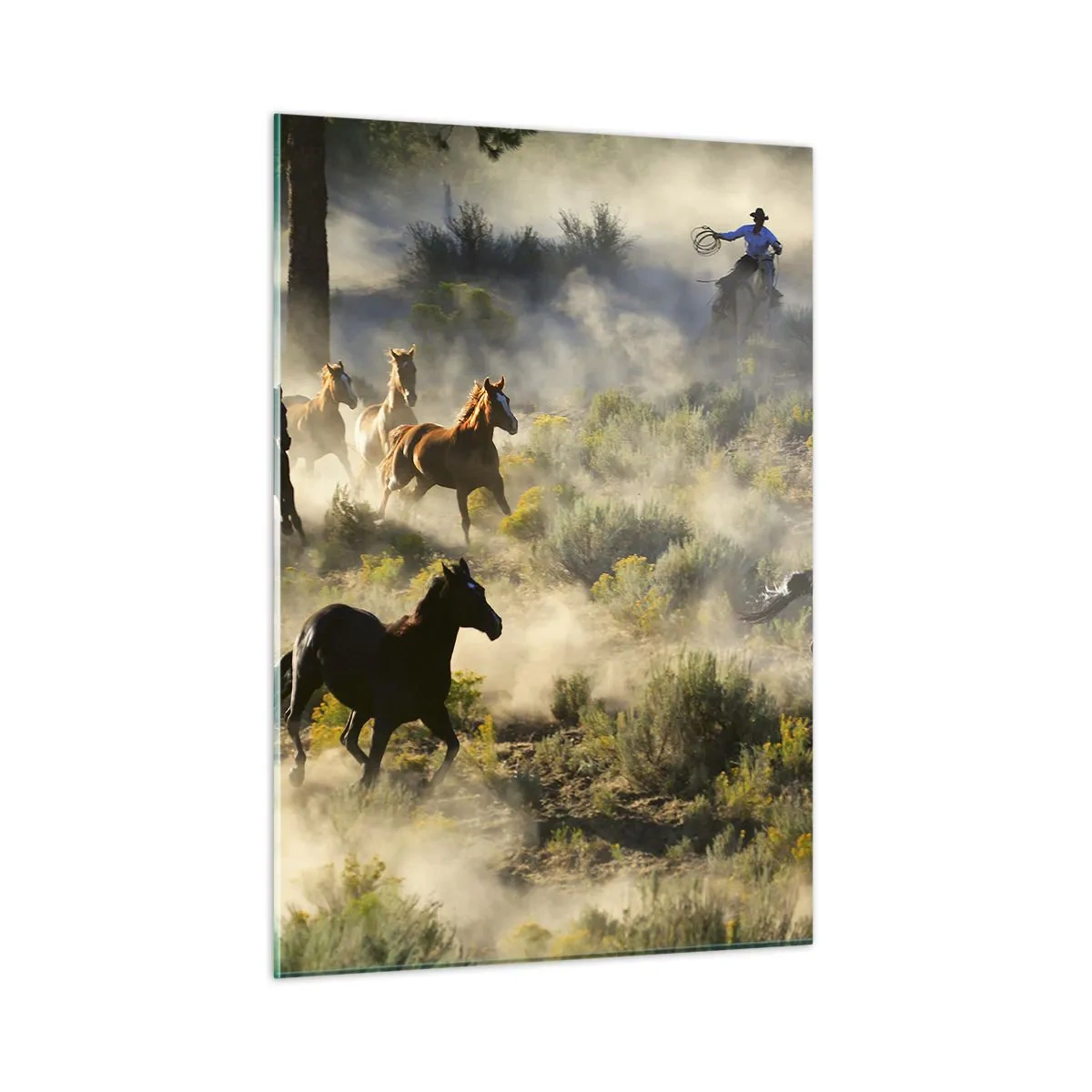 Obraz na skle - Rivalita - svoboda nebo mužská síla? - 50x70 cm