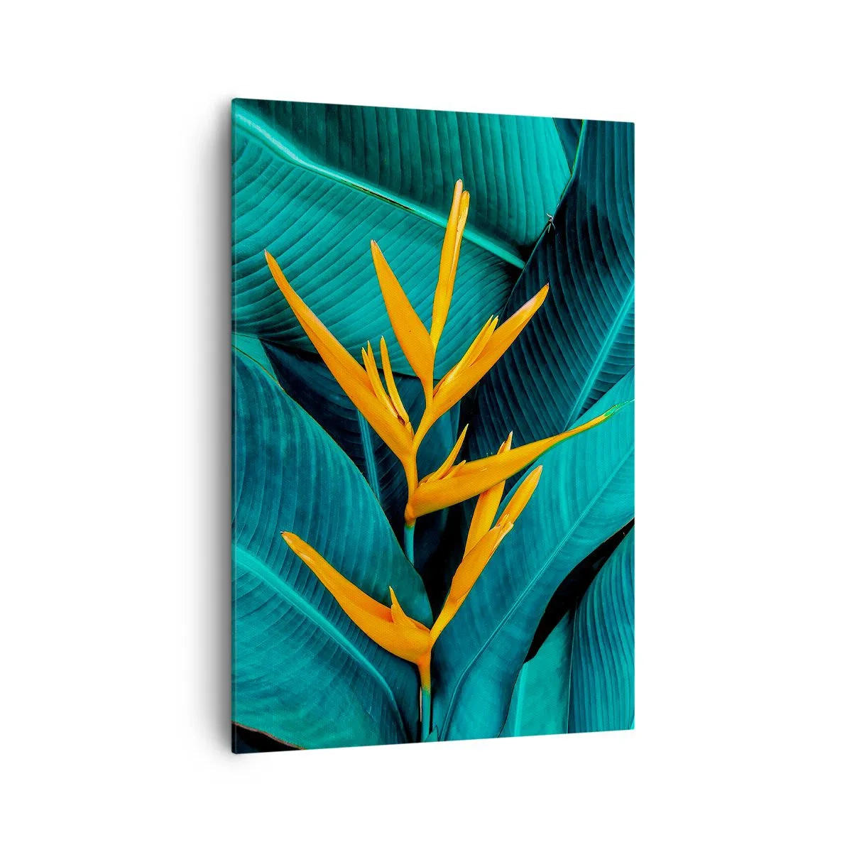 Obraz na plátně - Rajský květ - 70x100 cm