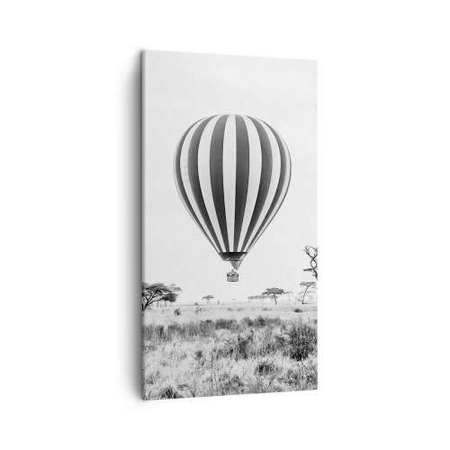 Obraz na plátně - Nad savanou - 45x80 cm