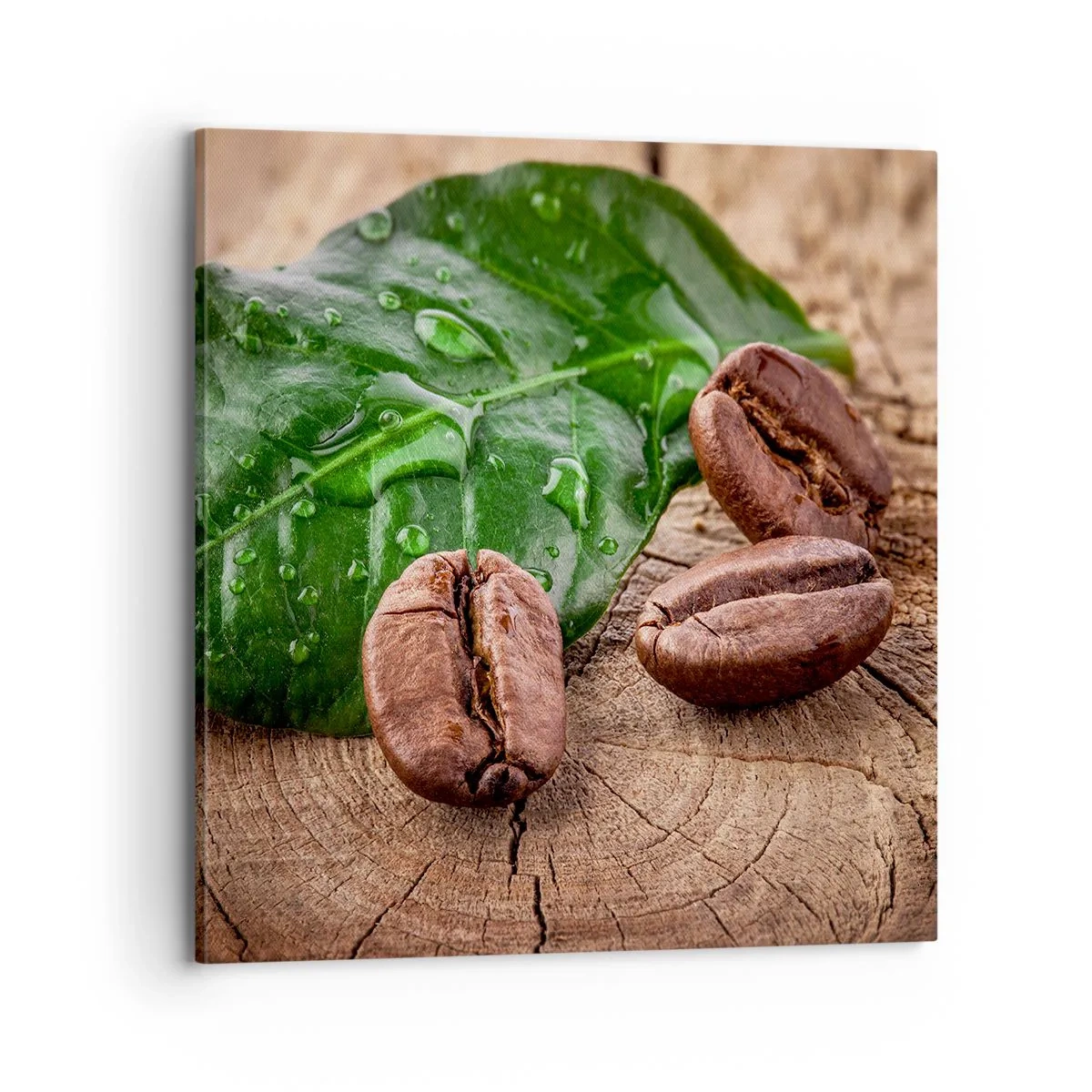 Obraz na plátně - Nejskutečnější a černá - 70x70 cm