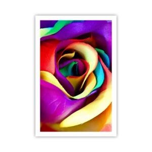 Plakát - To není možné - 61x91 cm