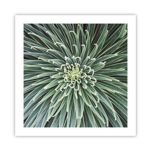 Plakát - Zrození hvězdy - 50x50 cm