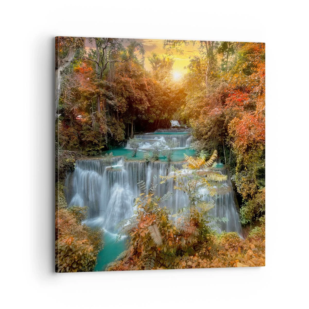 Obraz na plátně - Ukrytý poklad lesa - 70x70 cm