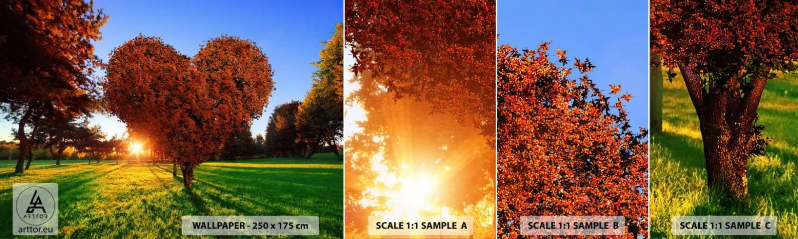 Fototapeta Vzorek Standard Eco - Jak nemilovat podzim - Krajina, Strom, Paprsky slunce - 100x30 cm