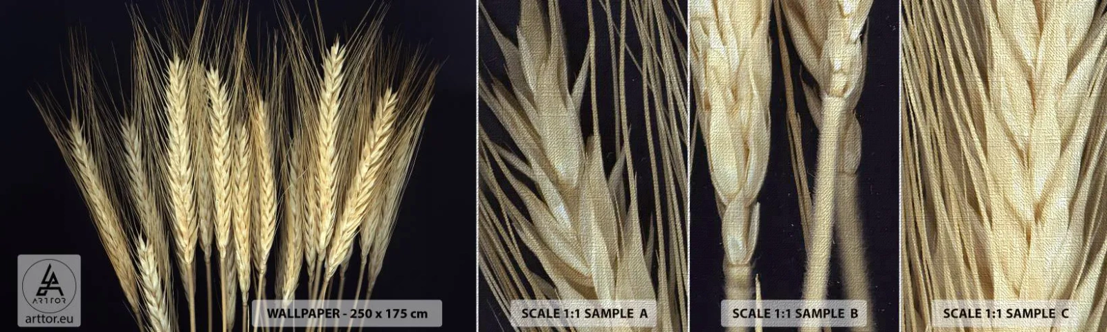 Vzor Fototapety Premium Canvas - Rustikální magie - Obiloviny, Rostliny, Příroda - 100x30 cm