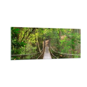 Obraz na skle - Protože na zahradě rostou popínavé rostliny - 100x40 cm