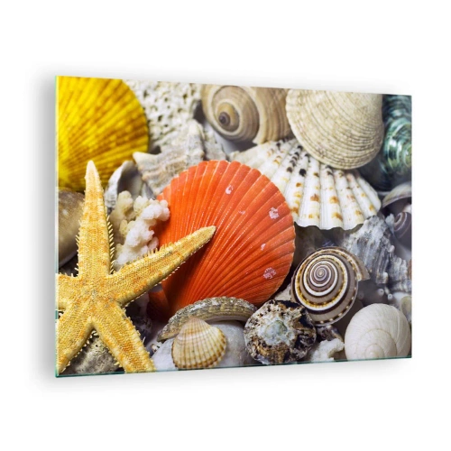 Obraz na skle - Barevné mušle a hvězdice v mořské kompozici - 70x50cm - Poklady oceánu - Moderní nástěnná dekorace do obývacího pokoje a ložnice ARTTOR
