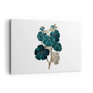 Obraz na plátně - Ze starého herbáře - 120x80 cm