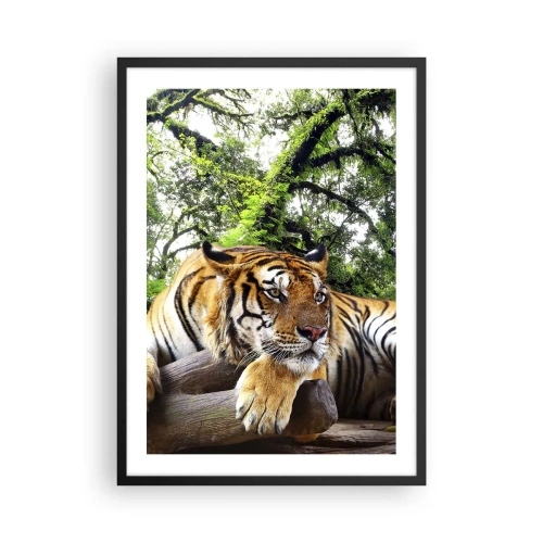 Plakát v černém rámu - Tygr odpočívající mezi zelenými stromy - 50x70cm - S úctou - Moderní nástěnná dekorace do obývacího pokoje a ložnice ARTTOR