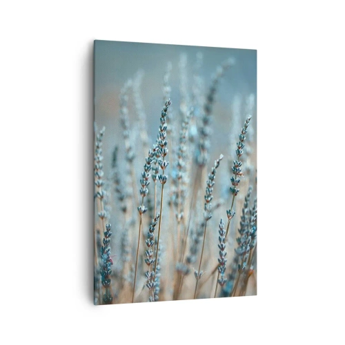 Obraz na plátně - Voňavý lán - 70x100 cm