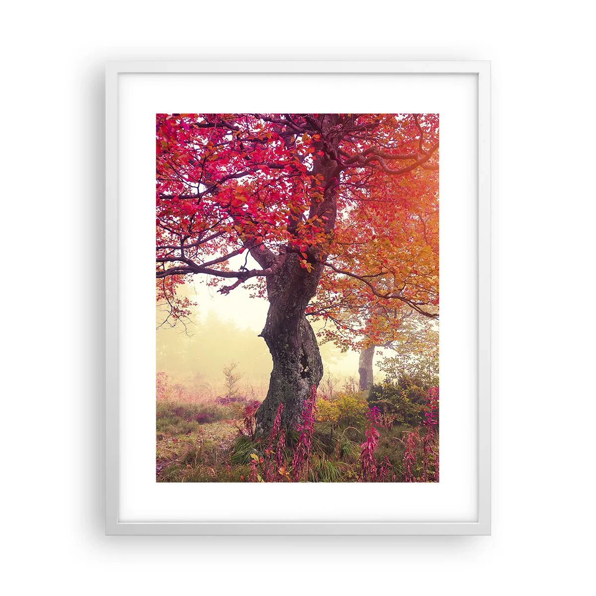 Plakát v bílém rámu - Šílenství rozkvětu - 40x50 cm