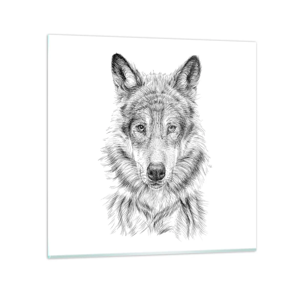 Obraz na skle - Rozený vůdce - 30x30 cm