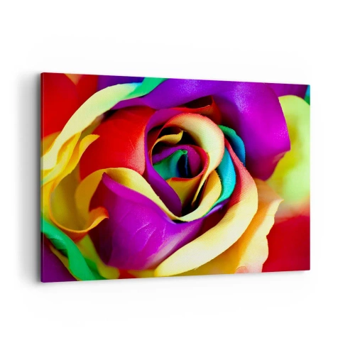 Obraz na plátně - To není možné - 100x70 cm