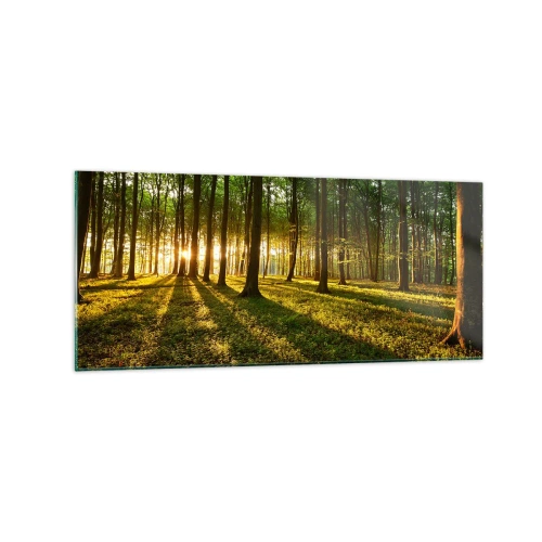 Obraz na skle - Fotografie všech jar - 120x50 cm