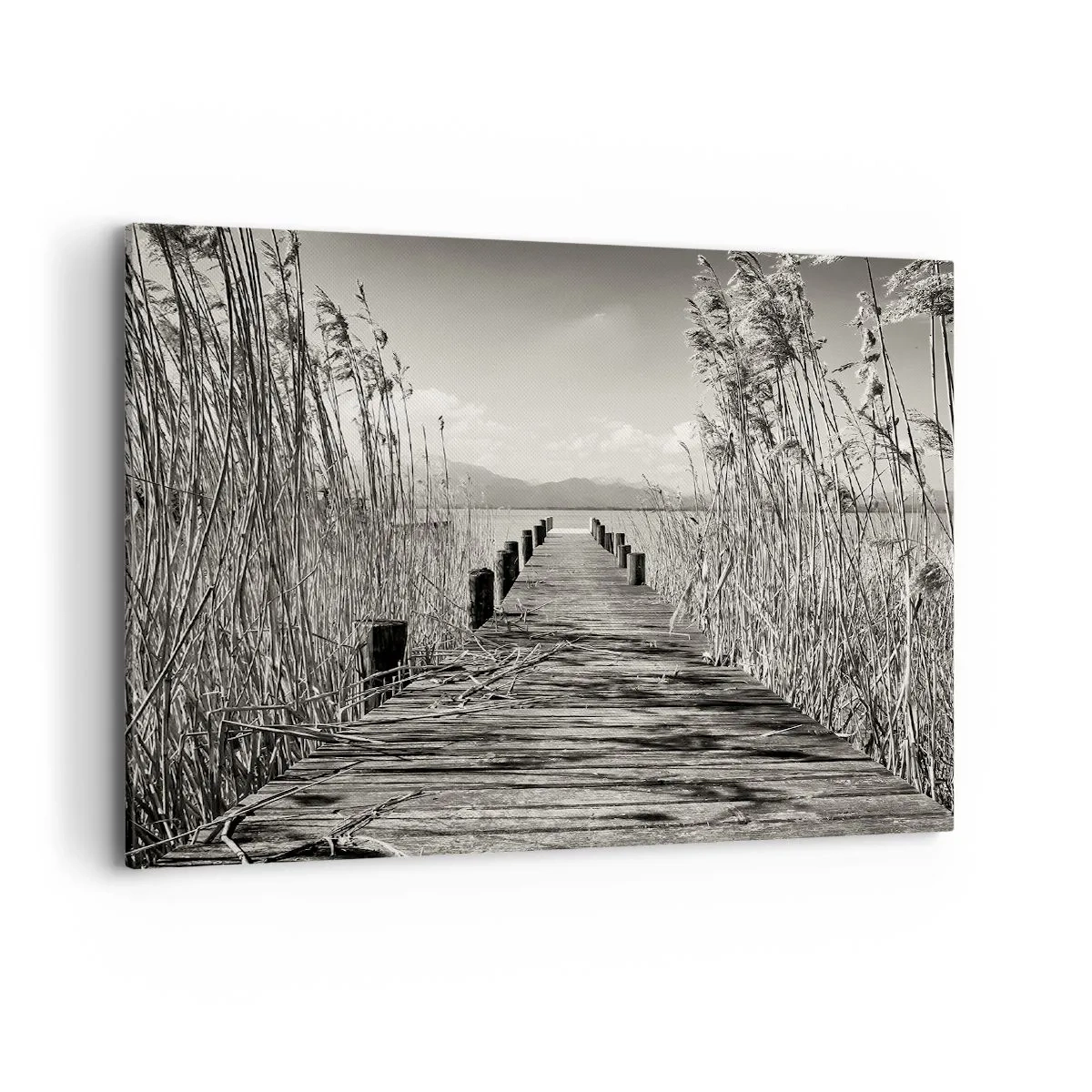 Obraz na plátně - V ústraní travin - 100x70 cm