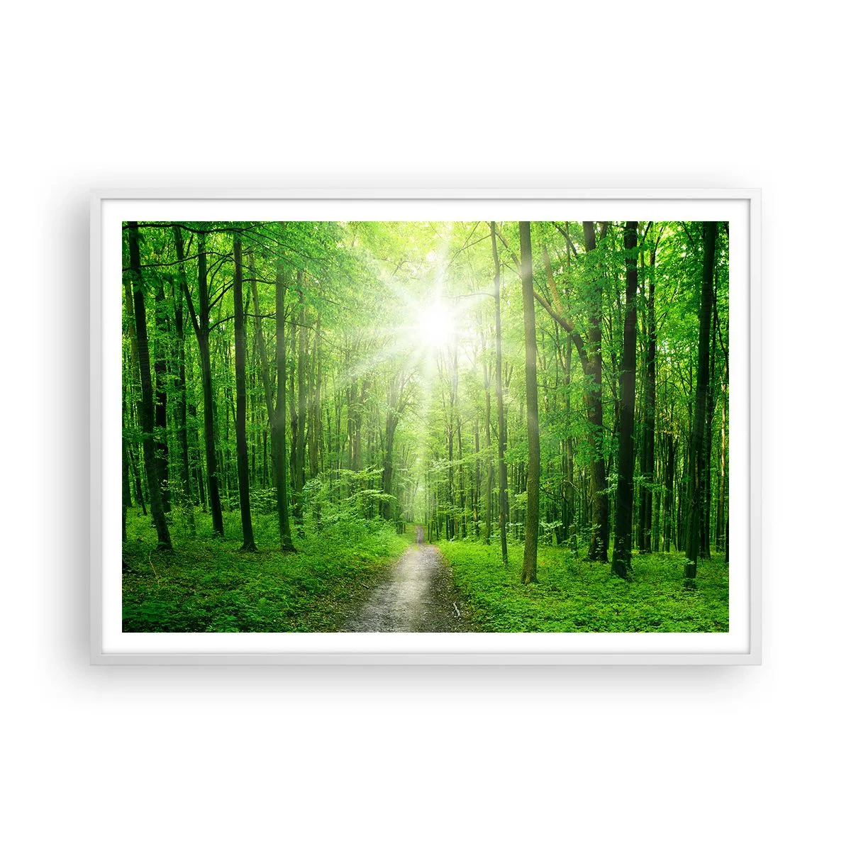 Plakát v bílém rámu - Zelená katedrála - 100x70 cm