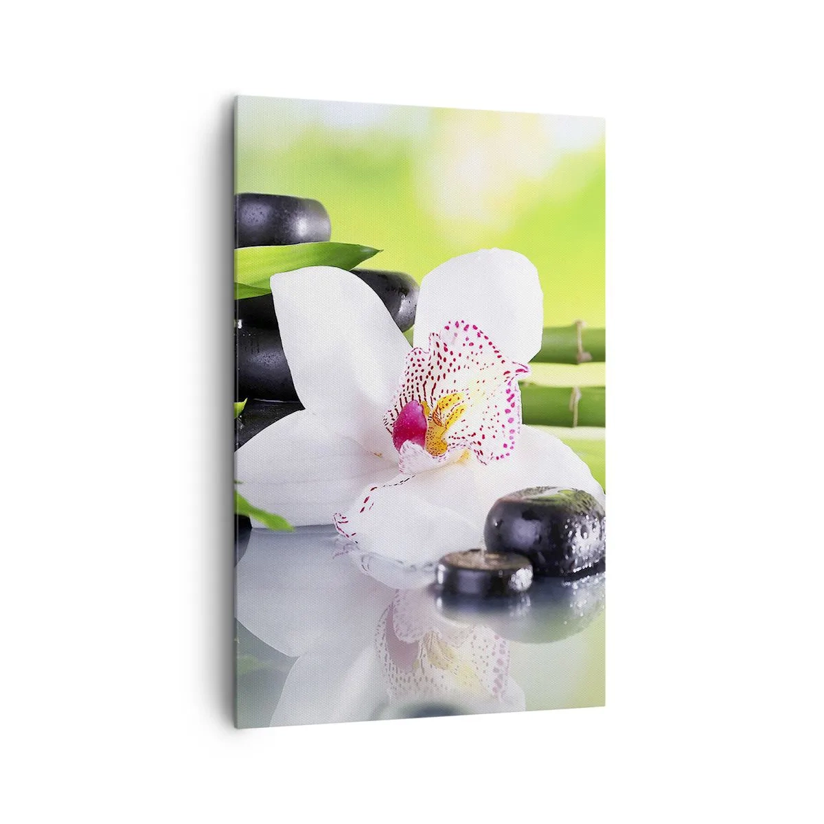 Obraz na plátně - Chladná svěžest - 80x120 cm