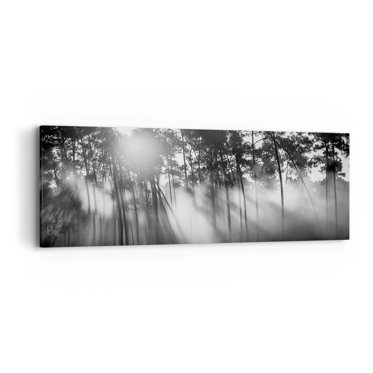 Obraz na plátně - Nezastavitelné slunce - 90x30 cm