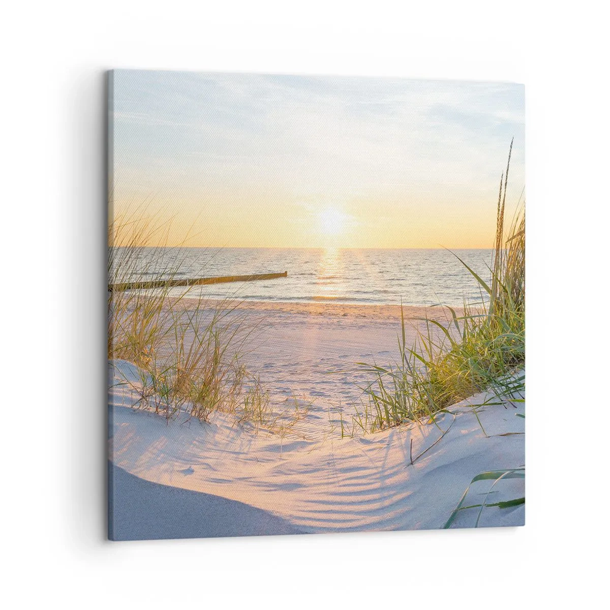 Obraz na plátně - Šumění moře, zpěv ptáků, divoká pláž uprostřed trávy… - 50x50 cm
