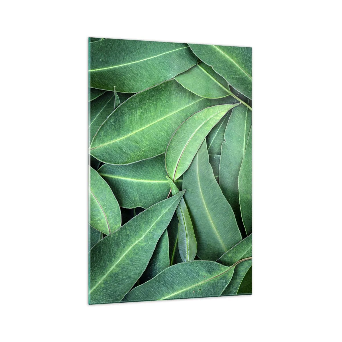 Obraz na skle - Šťavnaté a svěží - 70x100 cm