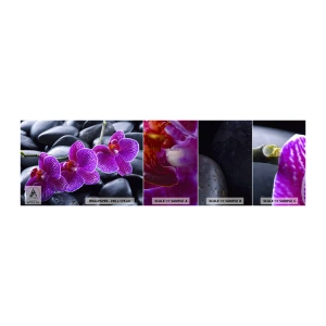 Vzor Fototapety Samolepicí Deluxe Sticker - Kameny se rozzářily nadšením - Květiny, Kameny, Orchidej - 100x30 cm