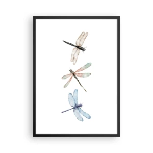 Plakát v černém rámu - Tři vážky namalované akvarelem - 50x70cm - Beztížné vážky - Moderní nástěnná dekorace do obývacího pokoje a ložnice ARTTOR