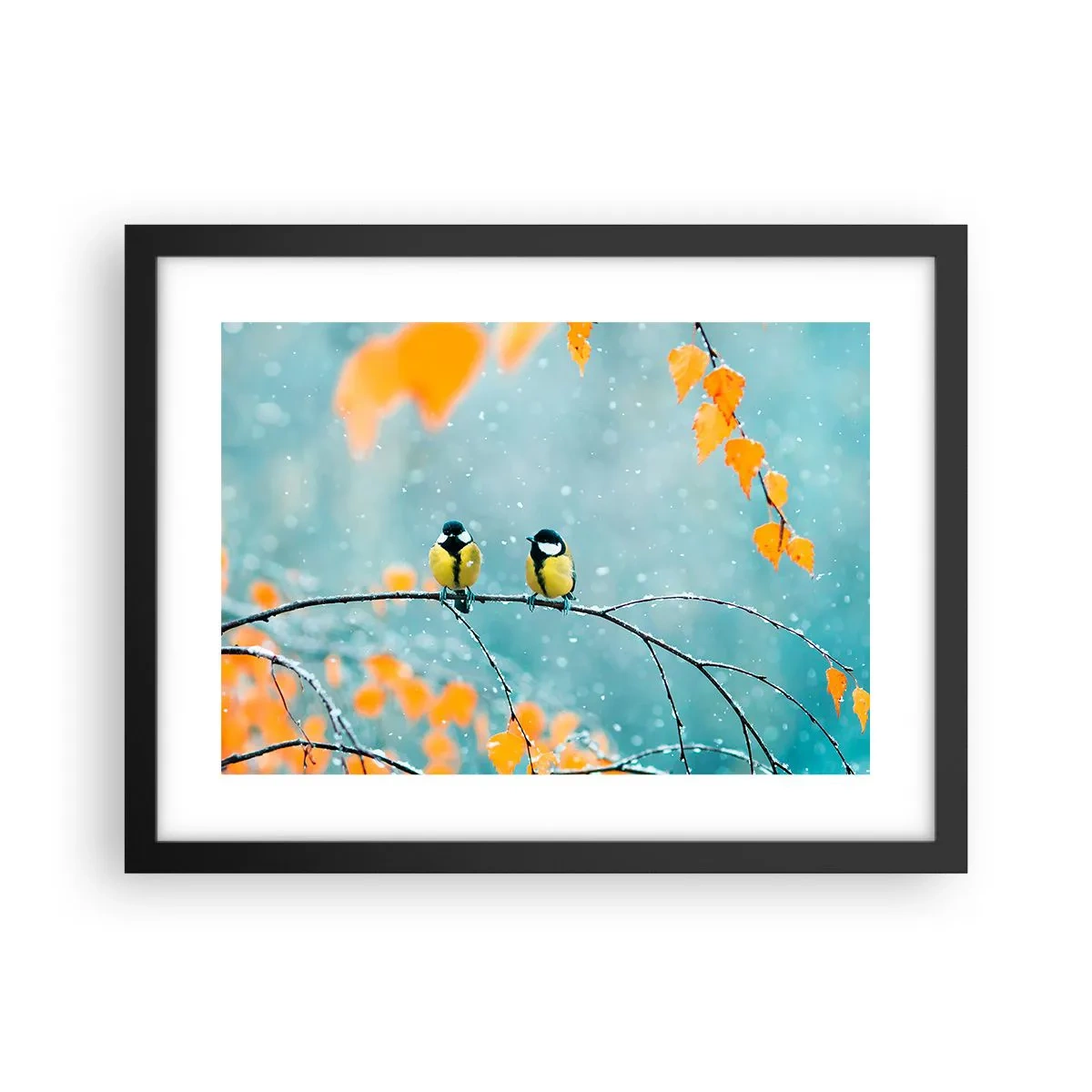 Plakát v černém rámu - Ptačí drby - 40x30 cm