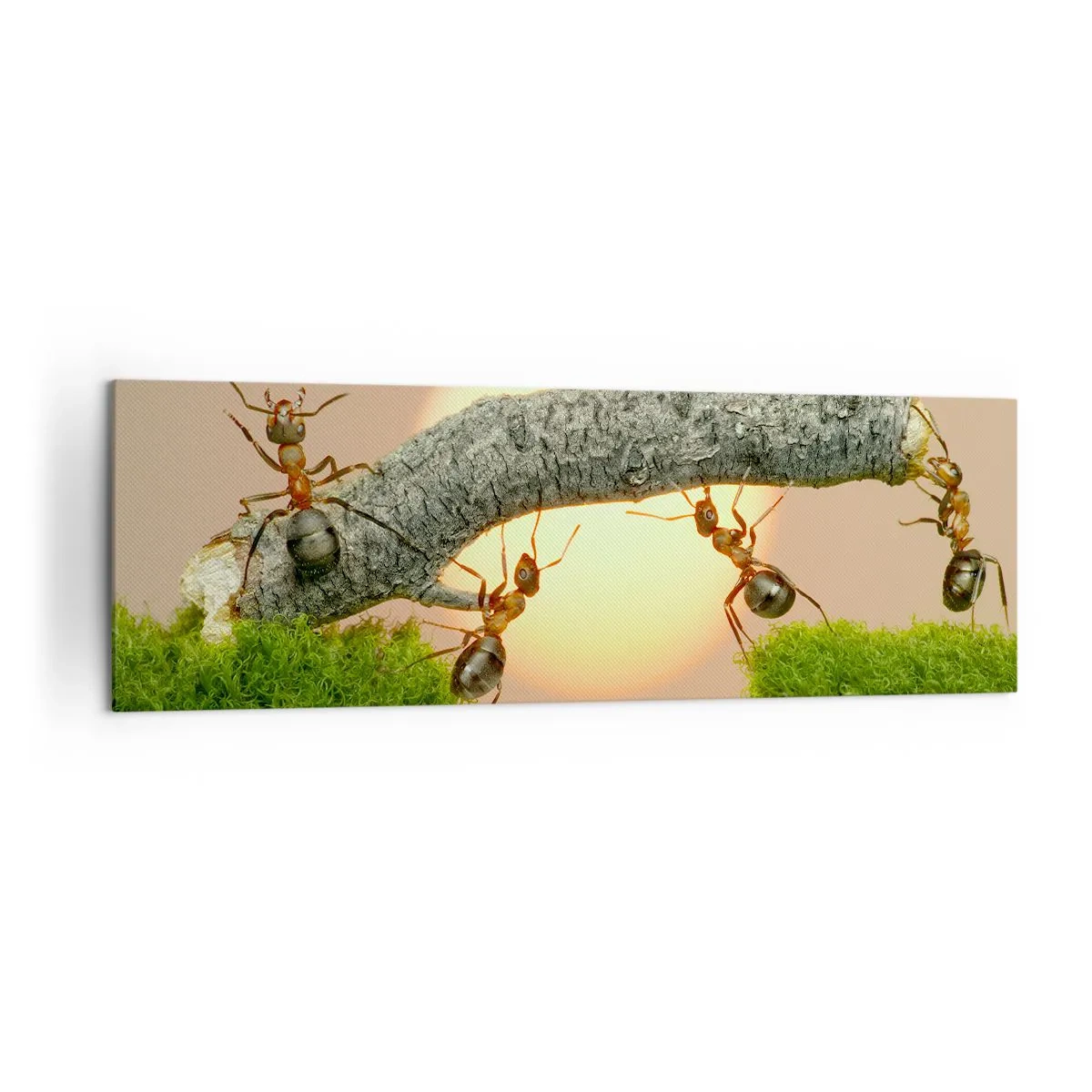 Obraz na plátně - Radostná, společná práce - 160x50 cm