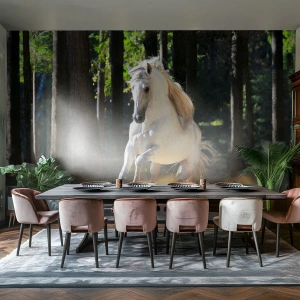 Fototapeta Standard Eco - Bílý kůň cválající lesní mýtinou - 100x70cm - Jako z fantasy románu - Moderní nástěnná dekorace do obývacího pokoje a ložnice ARTTOR