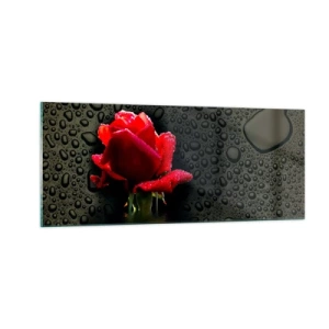 Obraz na skle - Červené a černé - 100x40 cm
