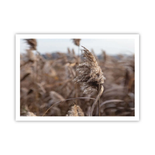 Plakát - Čas odletět s větrem - 100x70 cm