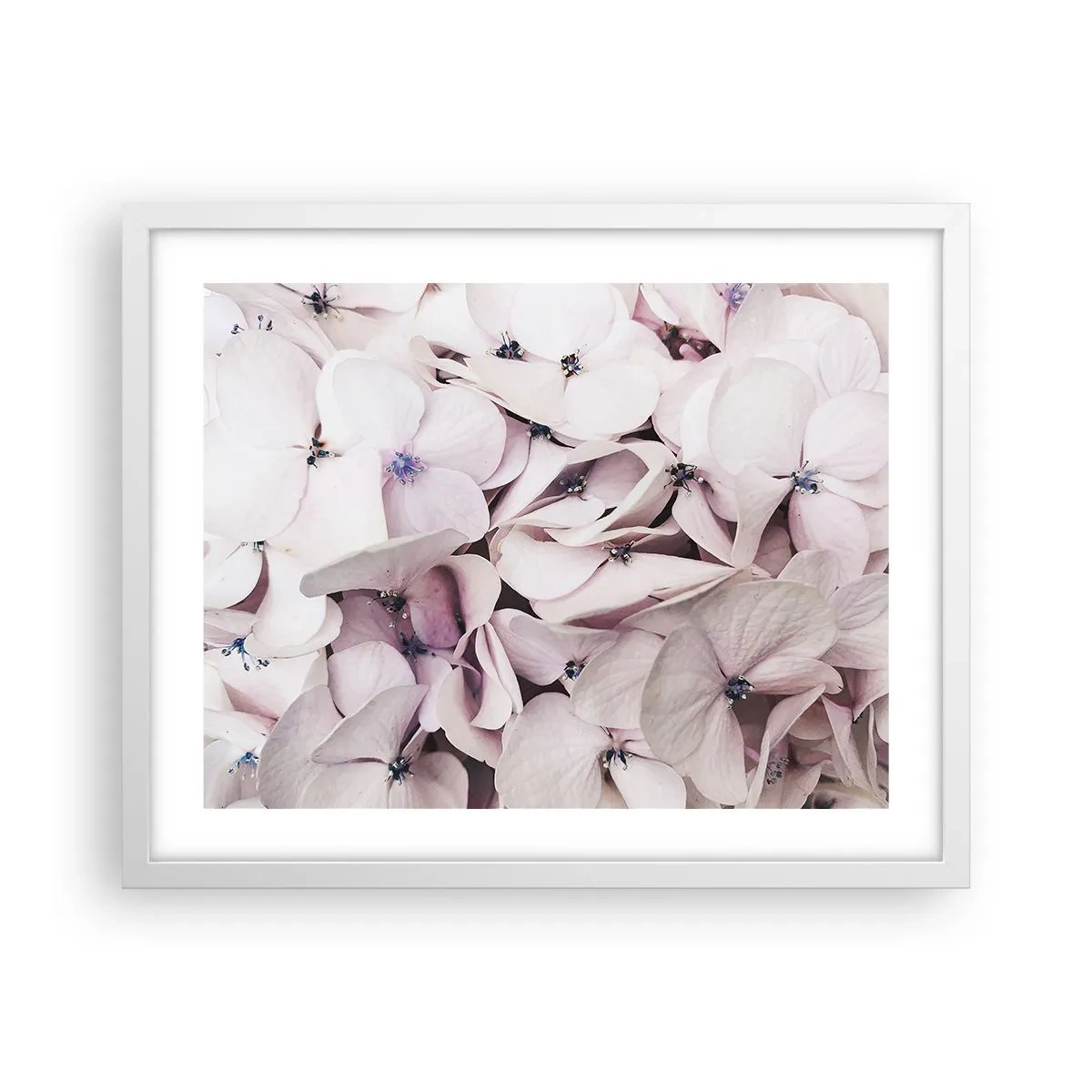 Plakát v bílém rámu - V záplavě květin - 50x40 cm