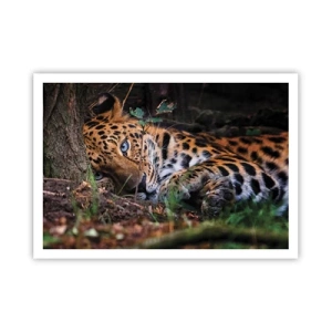 Plakát - Věř mi - 100x70 cm