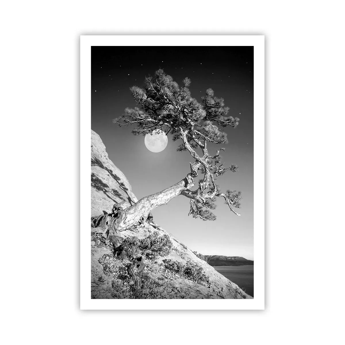 Plakát - Vítězná válečnice - 61x91 cm