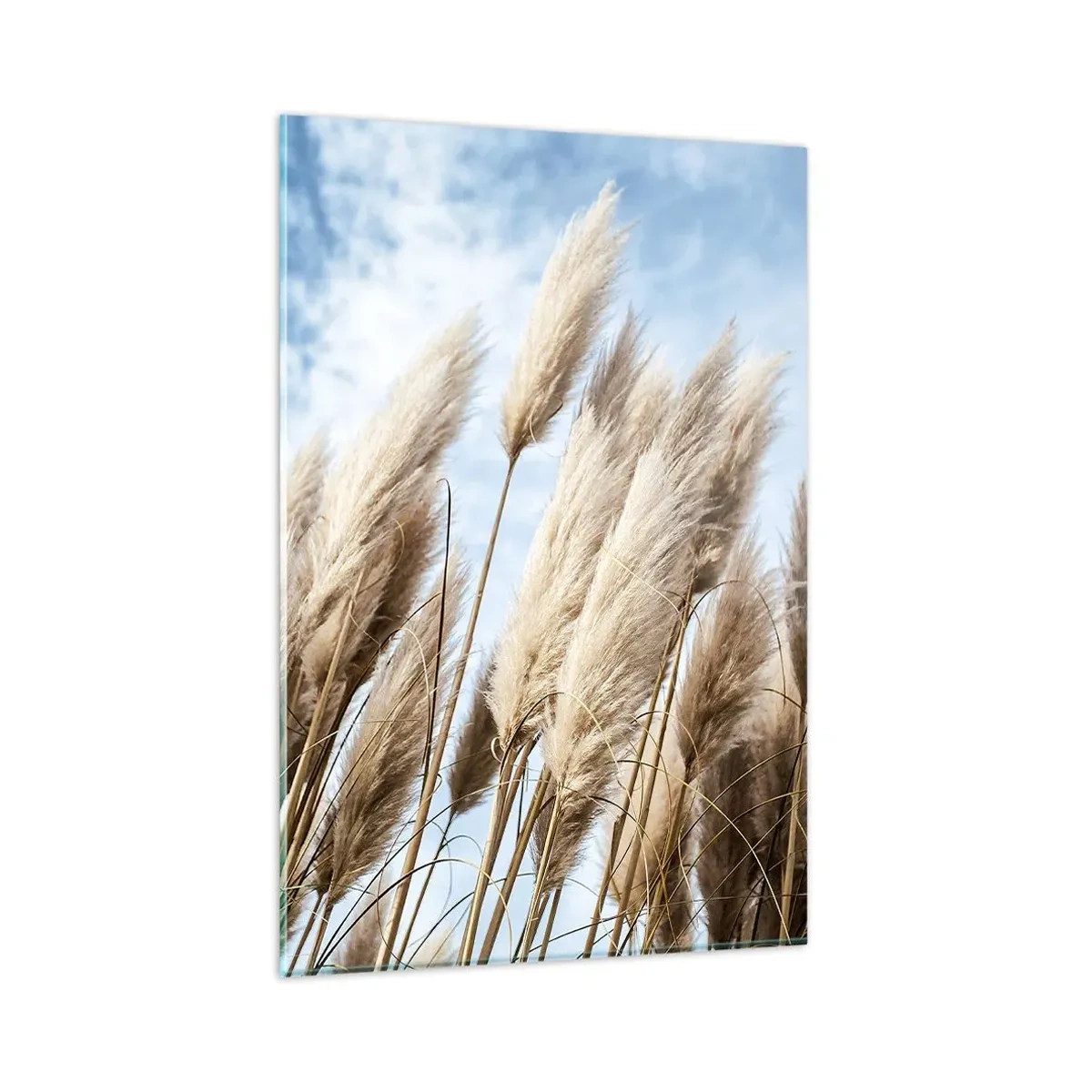 Obraz na skle - Slunečné a větrné pohlazení - 80x120 cm